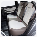 Vehículo Eléctrico BYD QIN PLUS