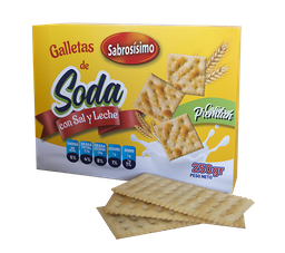 [NH07GS400G24] Galletas de Soda con sal