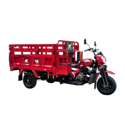 [NH08TC250CC3T1] Triciclo de combustible